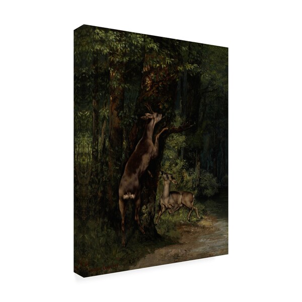Courbet 'Deer In The Forest' Canvas Art,14x19